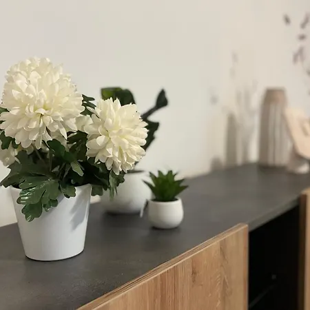 St. Alvise * Benátky